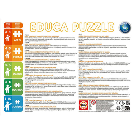 Set mit 4 Puzzeln Educa Disney
